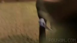 Fransa protestolarının gölgesinde; 👀 İmzalı Barcelona forması ve Messi’nin kaptan pazubandı çalındı! 🆔