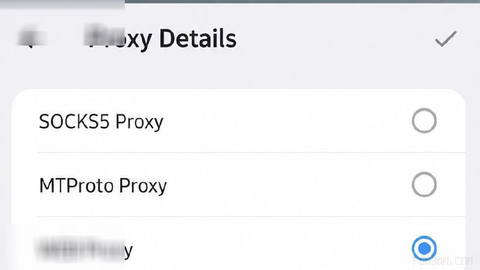 💬 A web proxy feature has appeared in the Telegram Android beta.