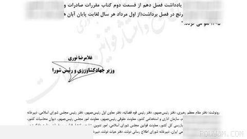 لغو ممنوعیت واردات برنج در فصل برداشت