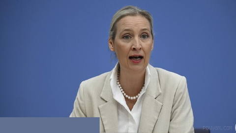 Germany’s AfD calls for deportation of more than 1M rejected asylum
