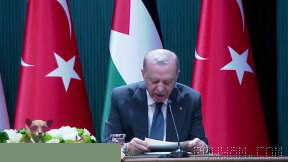 Erdoğan: