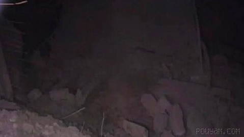 Paldasht on the Road Rodan to Bandar Abbas; blockage or restriction on traffic reported