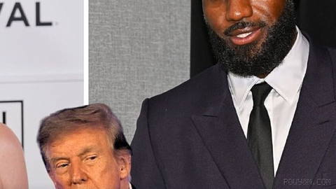 Donald Trump vs celebrities.
