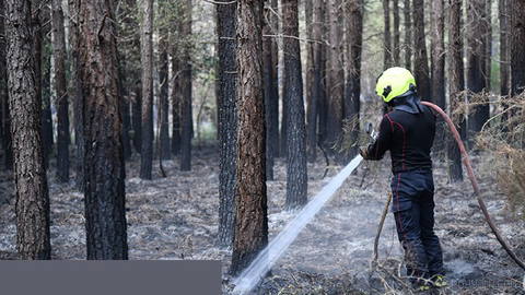 Three southeastern French departments remain under highest wildfire