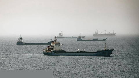 Shipping in the Strait of Hormuz will not be subject to fees until a