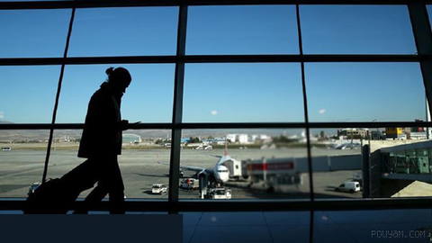 The global aviation ecosystem has contributed $4.
