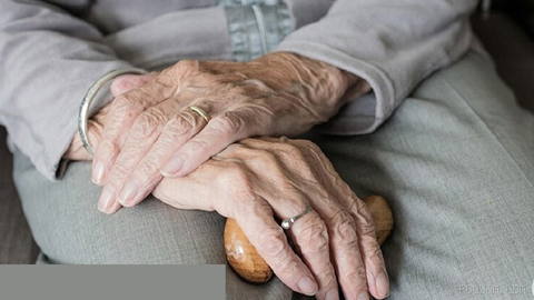 🌍 Global population aged 65 and older is expected to reach 1.
