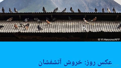 📸 Photo of the Day: The Roar of the Volcano and Pigeons on the Roof