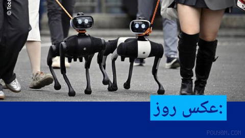 📸 Photo of the Day: Walking with Robotic Dogs in Berlin
