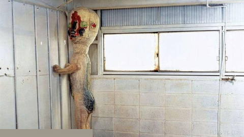 Мы накаркали: A24 экранизируют «Фонд SCP»