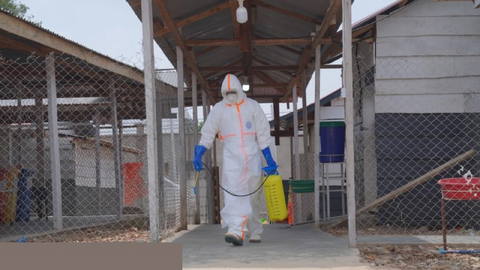 The Ebola death toll in the Democratic Republic of the Congo (DRC) has
