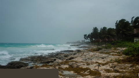 Hurricane Polo expected to make landfall in Mexico’s Baja California Sur
