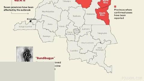 Demokratik Kongo Cumhuriyeti’nde Ebola salgını 3.982 kişiyi öldürdü; 7 eyalette 8.224 doğrulanmış vaka bildirildi
