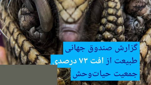 🔸گزارش صندوق جهانی طبیعت از افت ۷۳ درصدی جمعیت حیات‌وحش