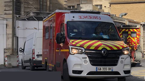 France reports first documented human case of Shamonda virus after