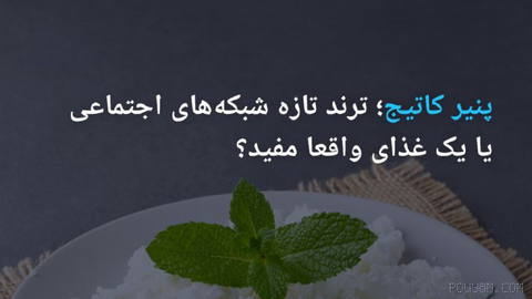 🔶 پنیر کاتیج؛ ترند تازه شبکه‌های اجتماعی یا یک غذای واقعا مفید؟
