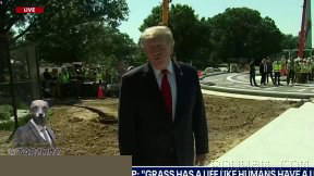 President Trump in the White House: