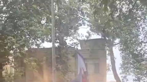 ⏺ A woman in Sari decided to create a masterpiece scene, so she went down a one-way street by car, and anyone who objected to her…