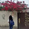 Simin M