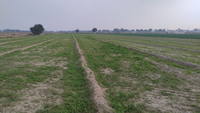 Atre Taalkh
